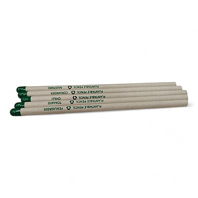 White Paper Pencils Black