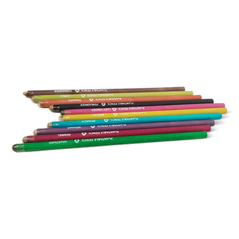 Plantable Seed Colour Pencil Tube Box - Pack of 10