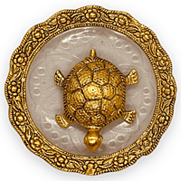 Tortoise With Plate